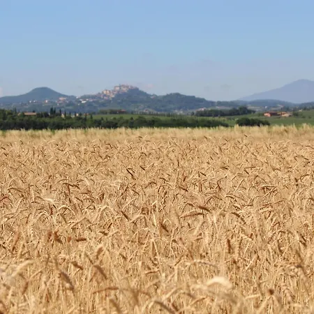 Podere Padolecchie - Azienda Agricola Passerini Farm stay